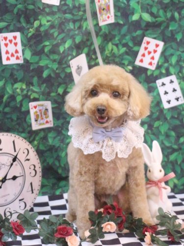 20250430コアくん